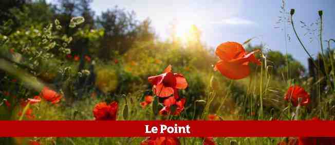 printemps